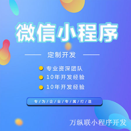 專業的小程序開發(專業的小程序開發外包公司有哪些)