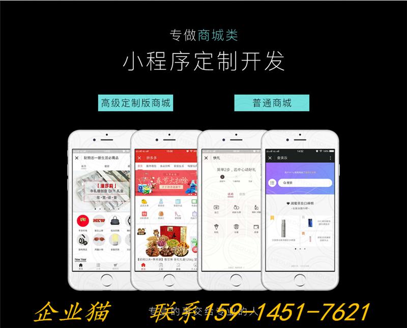 廣東小程序開發方案(東莞小程序開發解決方案)