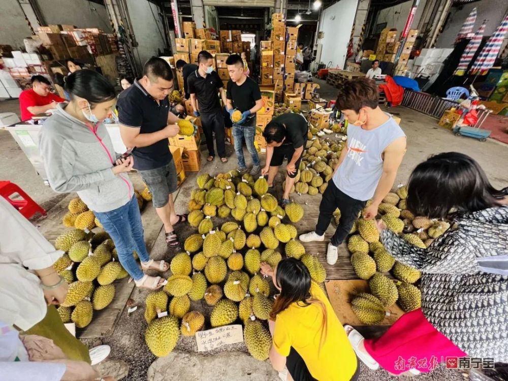 互聯網水果新聞(互聯網+水果銷售)