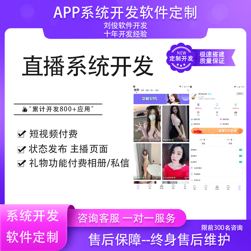 小程序語音開發價格(小程序和app開發價格)