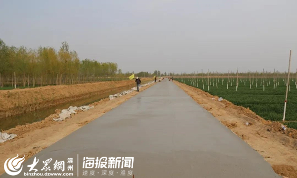 泊頭網站建設工程(泊頭市公共資源招標公告)