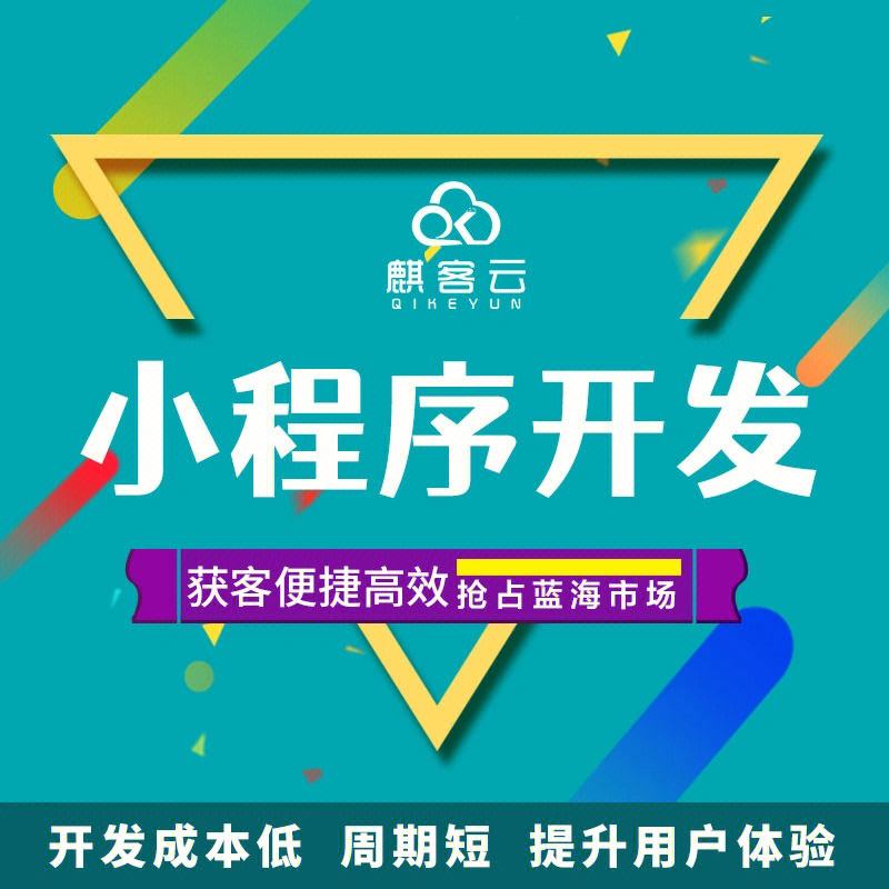 上海小程序網站制作開發(上海小程序網站制作開發公司)