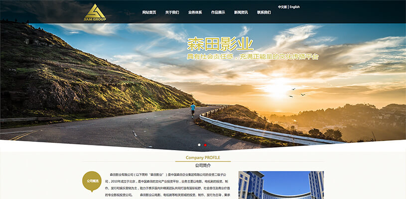 國(guó)外電影網(wǎng)站建設(shè)(國(guó)外有哪些好的電影網(wǎng)站)