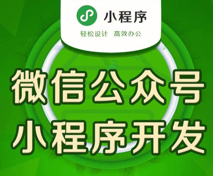 浙江軟件開發(fā)小程序(浙江軟件開發(fā)公司有哪些)