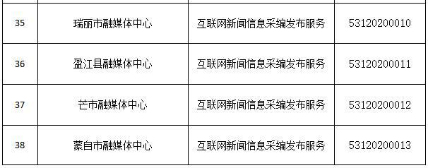 互聯(lián)網(wǎng)新聞信息服務(wù)總負責(互聯(lián)網(wǎng)新聞信息服務(wù)單位內(nèi)容管理)