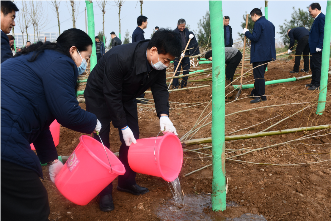 隴縣互聯網最新消息(隴縣互聯網最新消息公布)