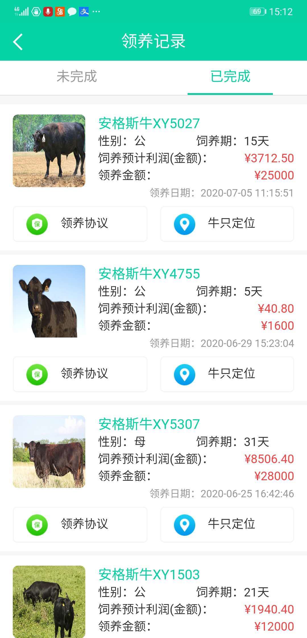 互聯網領養騙局揭秘新聞(互聯網領養騙局揭秘新聞報道)