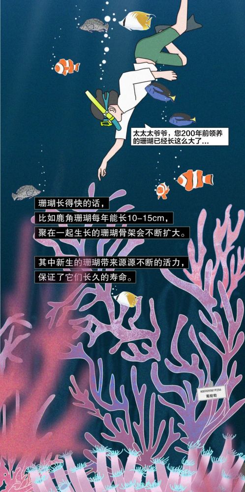 互聯(lián)網(wǎng)海洋新聞(海洋網(wǎng)聯(lián)船務(wù)中國有限公司)