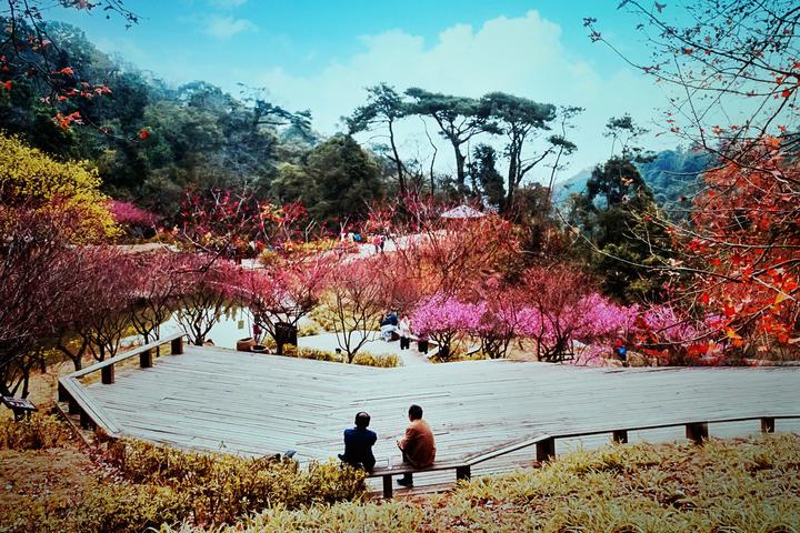 福州風景網站建設費用(福州風景網站建設費用多少)