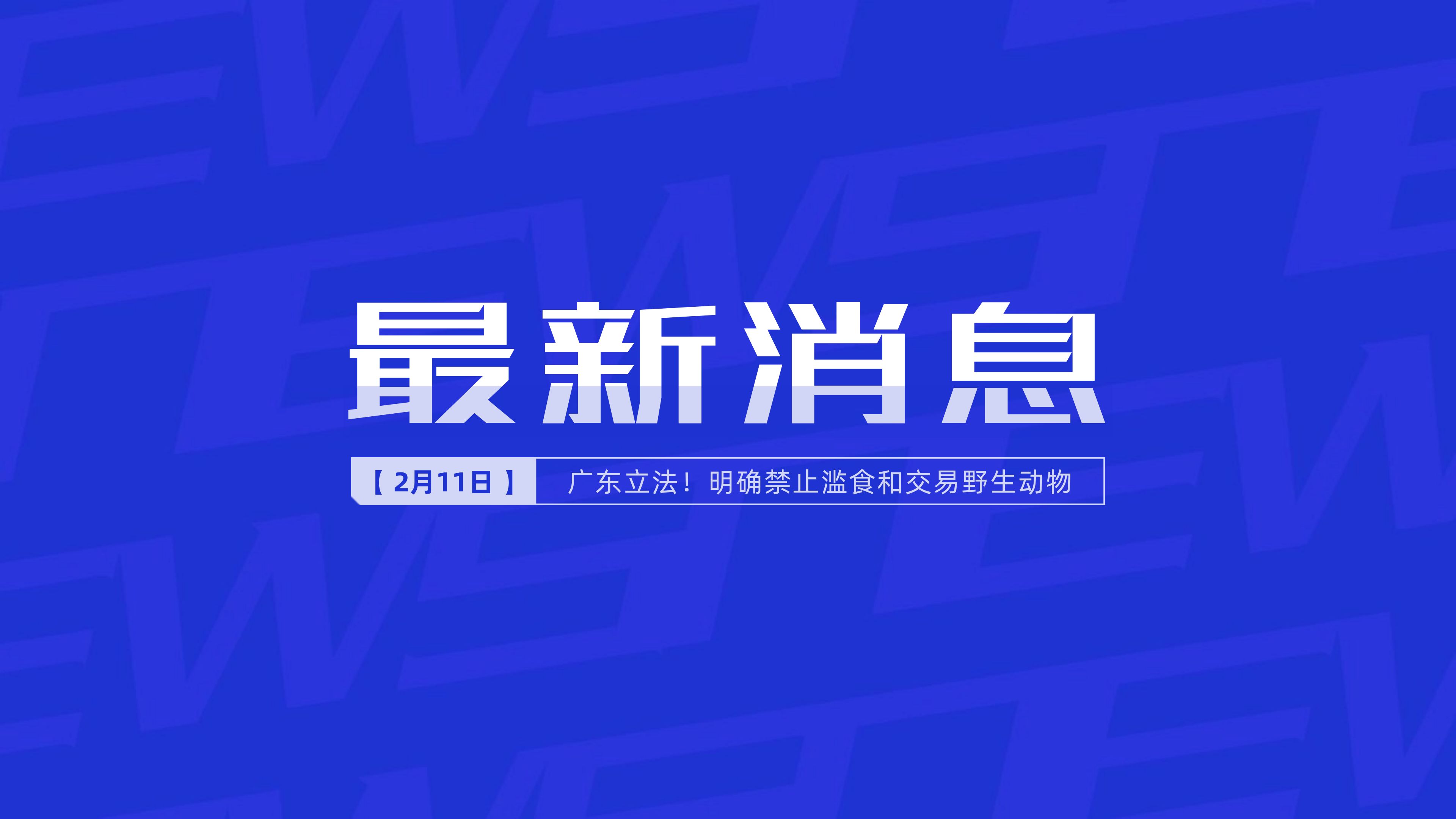 互聯網怎么發布新聞消息(互聯網怎么發布新聞消息呢)