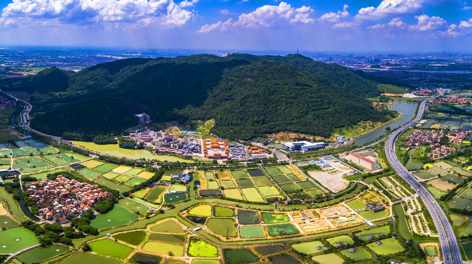 西樵大瀝網站建設新聞(西樵去大瀝車站坐幾路公交車)